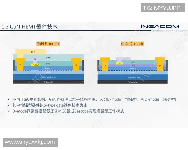 丹纽比奥与普球队对决精彩瞬间回顾与分析