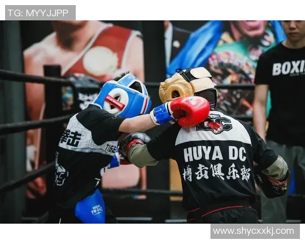 柳海龙与杨晓靖的巅峰对决谁将成为新一代的拳坛霸主