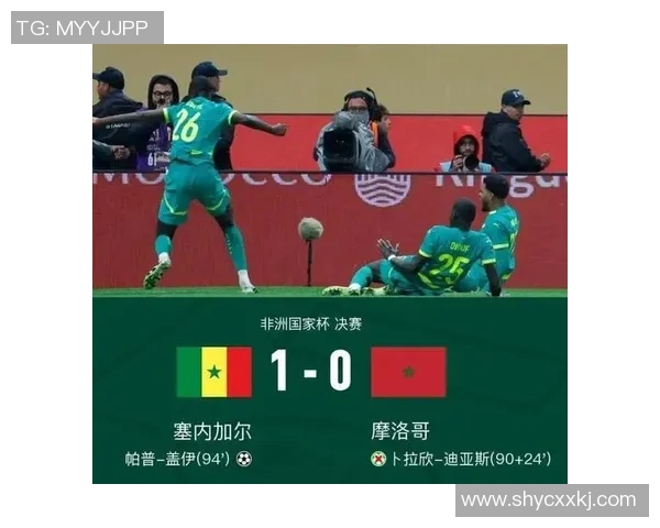 塞内加尔与韩国角球对决分析及比赛精彩瞬间回顾